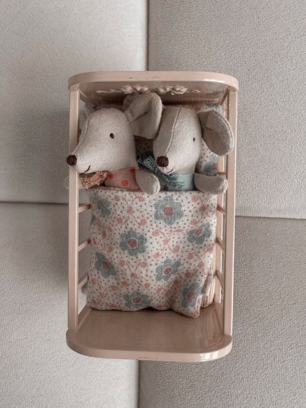 Twin Baby Mice