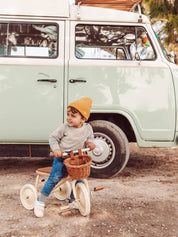 Banwood Trike
