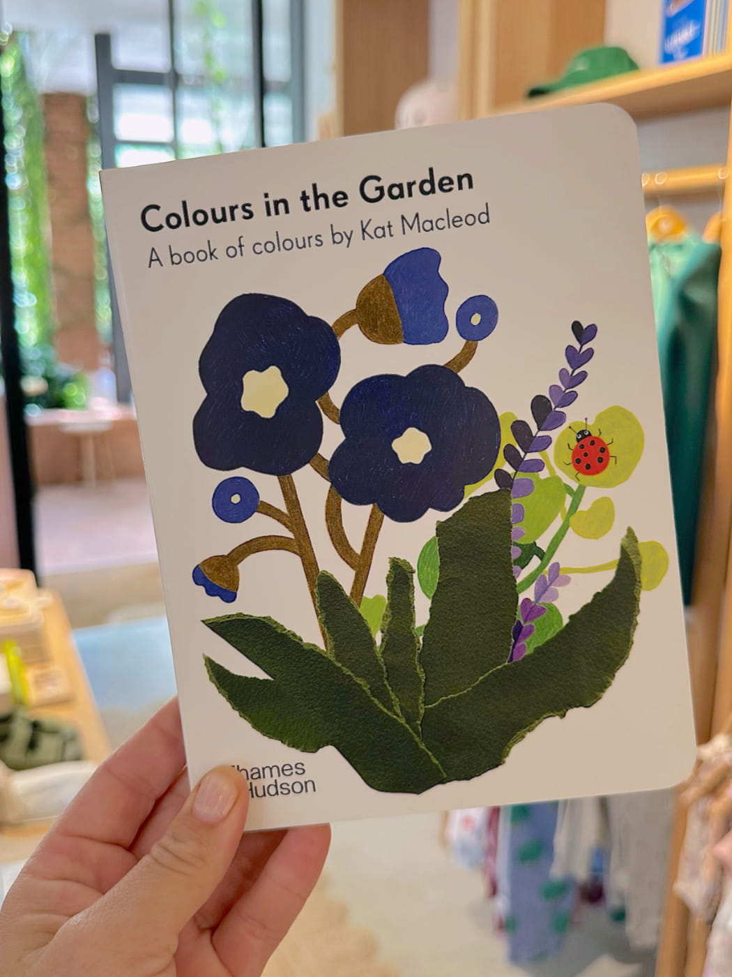 Colours in the Garden Boardbook