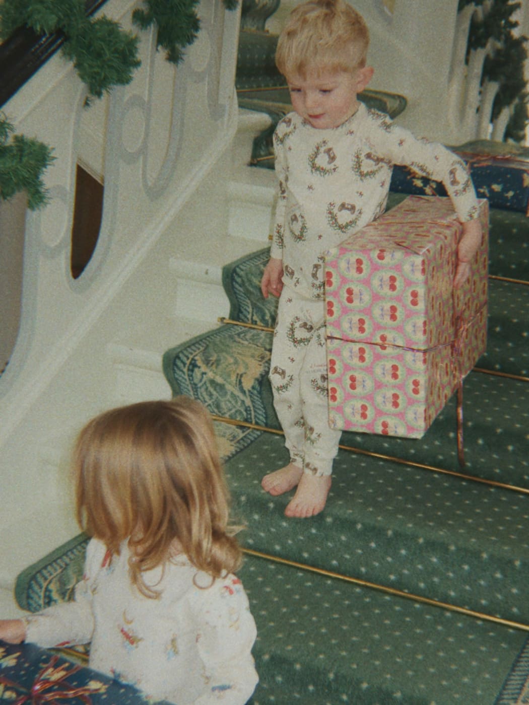 Wrapping Paper - Deer Diary