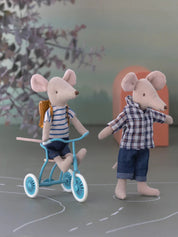 Großer Bruder Maus 