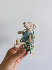 Kleine Feenmaus - Rose