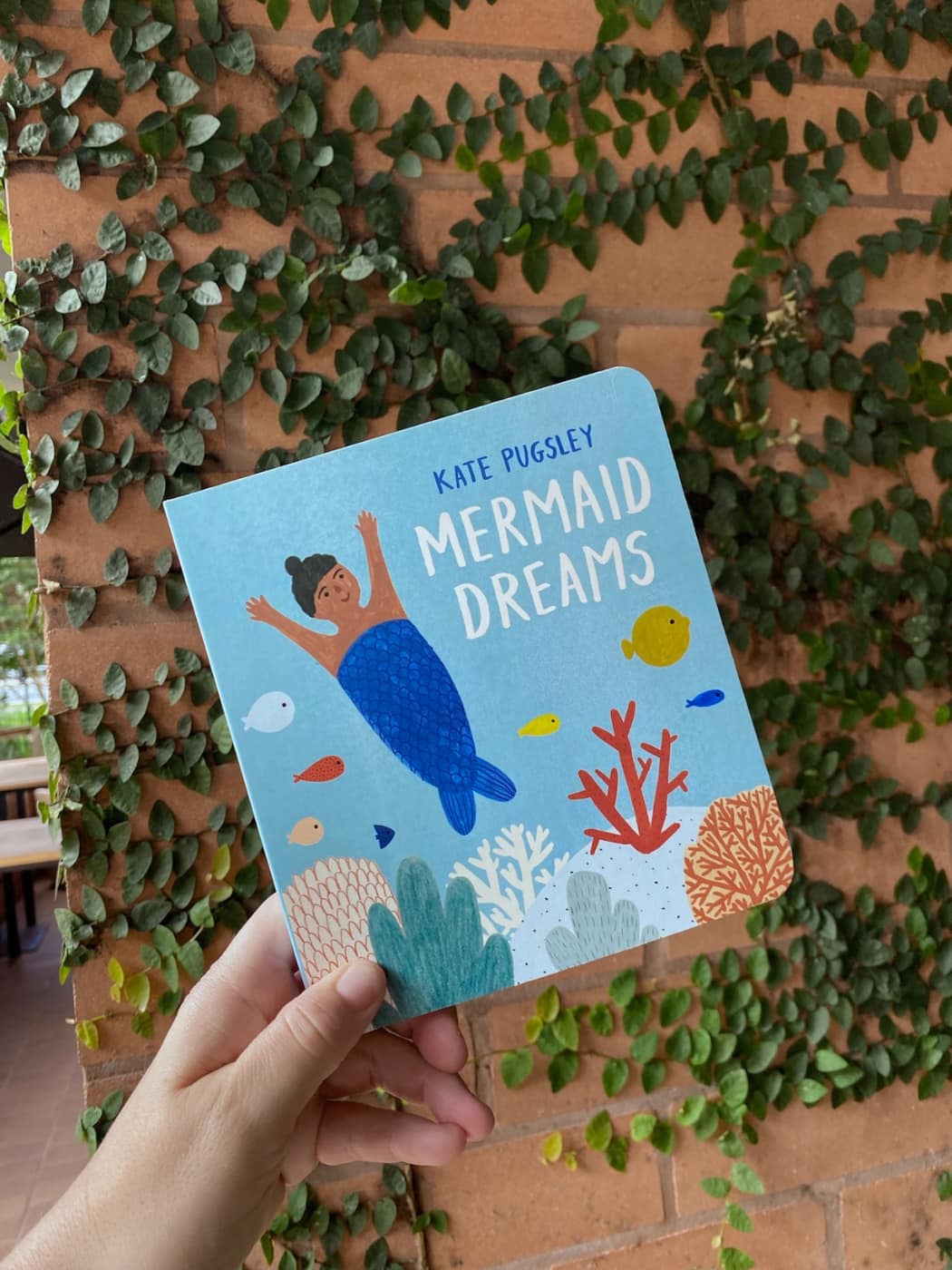 Mermaid Dreams Boardbook