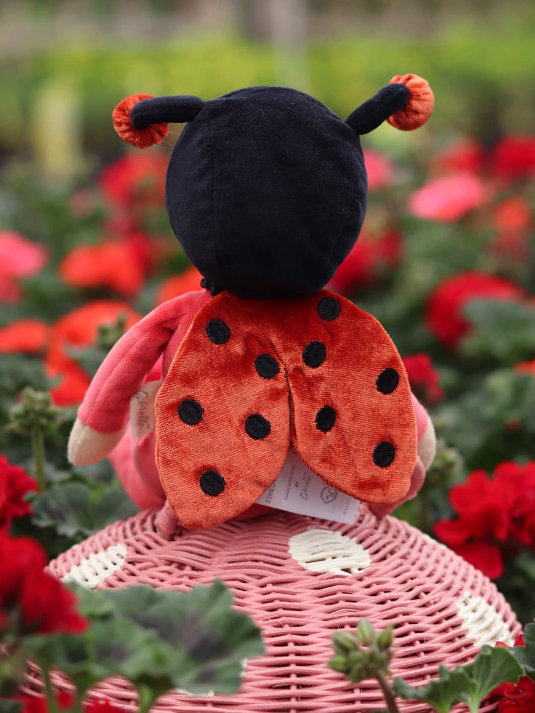 Dinky Dinkum - Lola Ladybug
