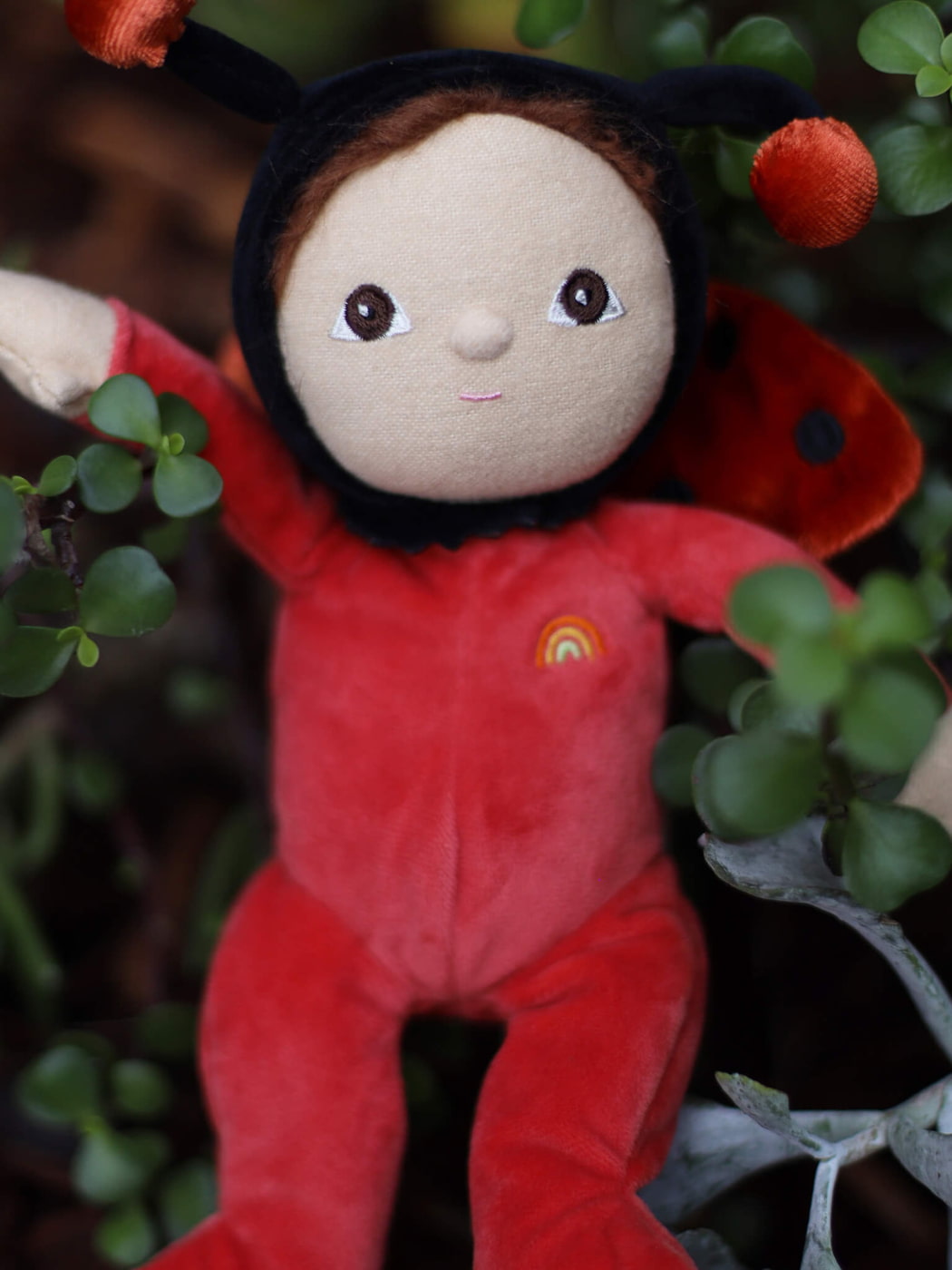 Dinky Dinkum - Lola Ladybug