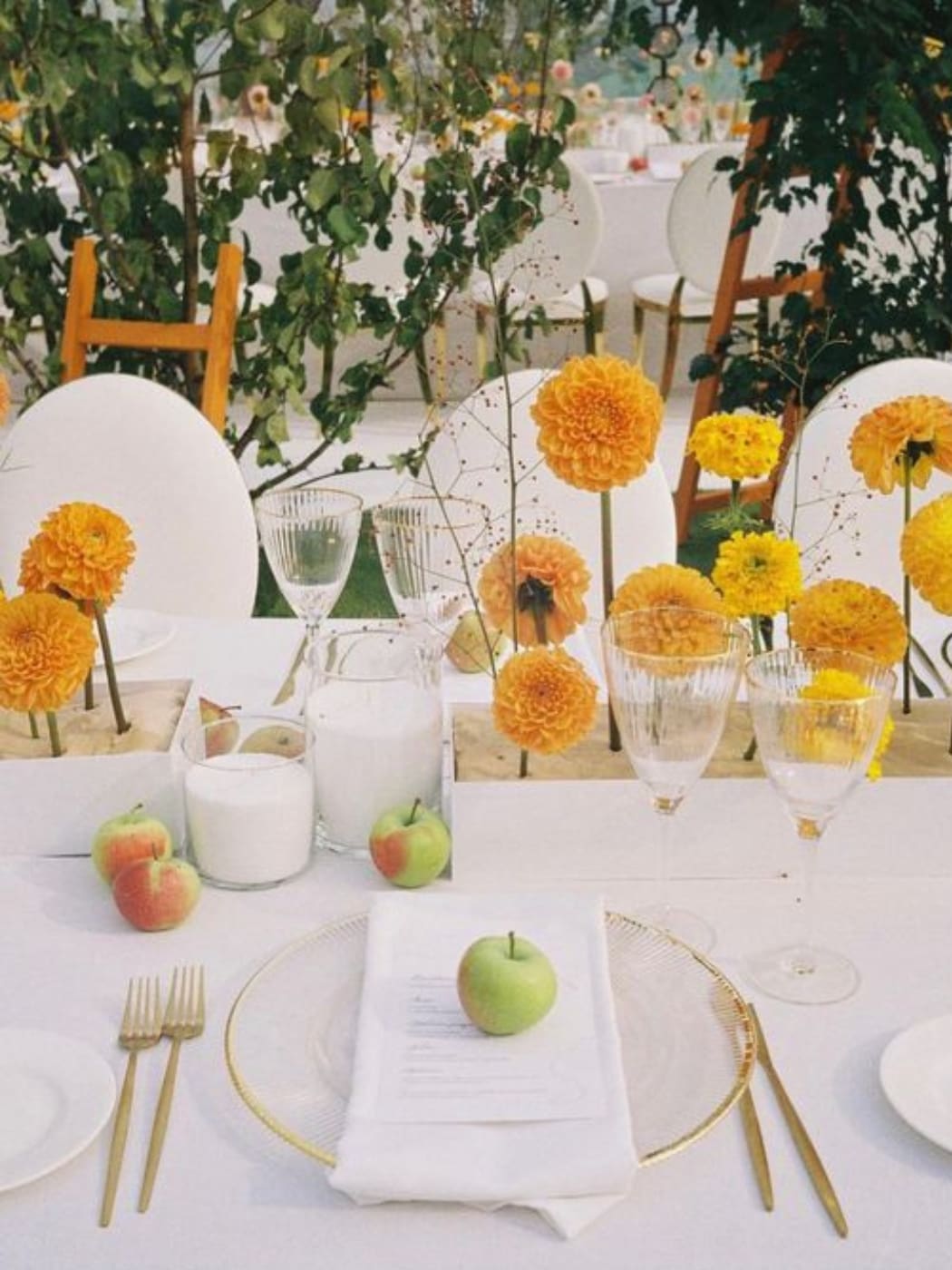 Edible Marigold Flower Seeds