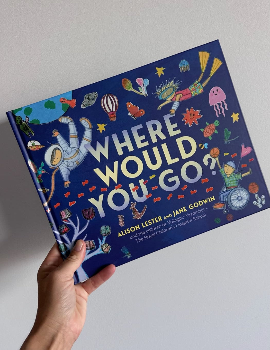 Where_Would_You_Go_Book_Alison_Lester_Australia.jpg